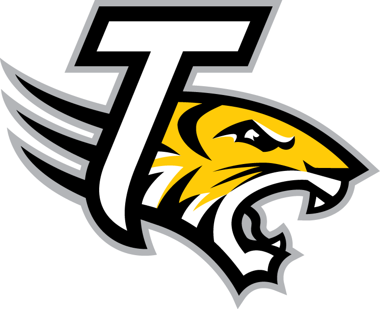 Towson Tigers 2004-Pres Alternate Logo 05 iron on paper